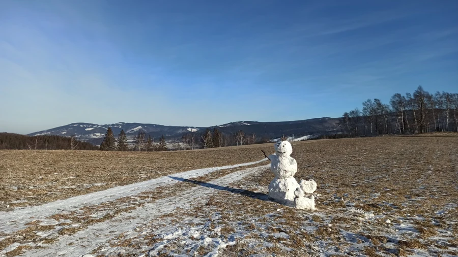 Sněhulák na louce v okolí Filipovic